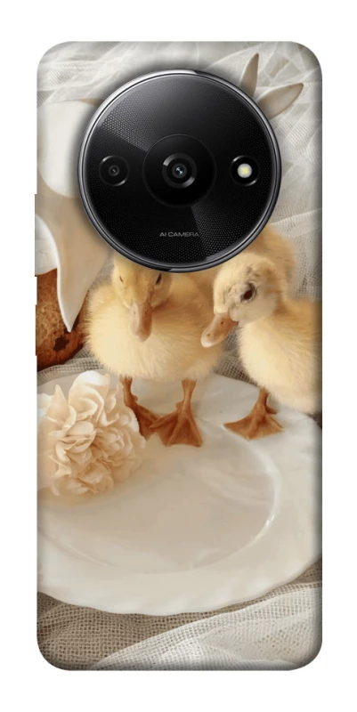 Чехол на Xiaomi Redmi A3 Easter Vibes фото 1 из 1