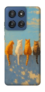 Чехол на Motorola Edge 60 Stylus cats on wall фото 1 Чехол на Motorola Edge 60 Stylus cats on wall фото 1 из 1
