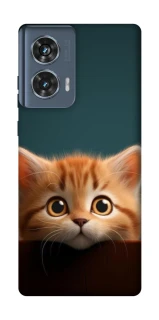 Чохол на Motorola Edge 50 Чохол Кошеня фото 1 з 1