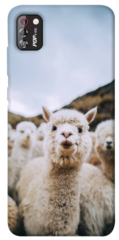 Чохол на TECNO POP 4 Pro Лама фото 1 з 1