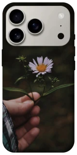 Чехол на Apple iPhone 17 Pro (6.3") Ромашка v4 фото 1 из 1