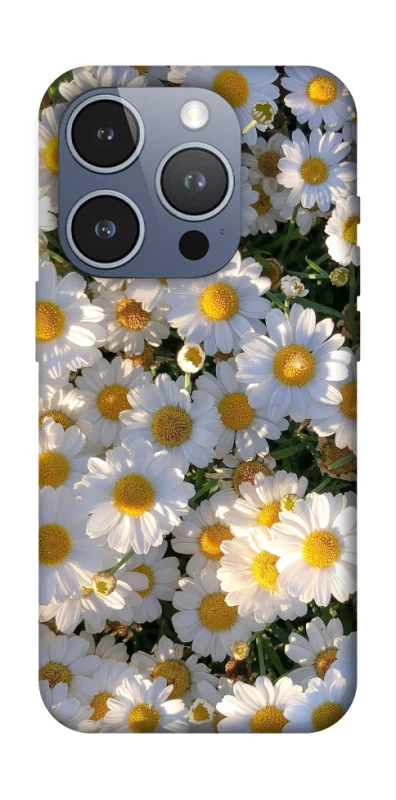 Чохол на Apple iPhone 16 Pro Поле ромашок фото 1 з 1