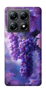 Чохол на Xiaomi 14T Pro Bunch of grapes фото 1 з 1