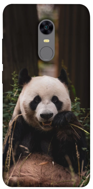 Чехол на Xiaomi Redmi 5 Plus / Redmi Note 5 (Single Camera) Панда фото 1 из 1