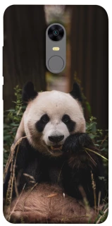 Чехол на Xiaomi Redmi 5 Plus / Redmi Note 5 (Single Camera) Панда фото 1 из 1