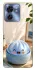 Чехол на Motorola Edge 40 Dumpling ver.2 фото 1 из 1