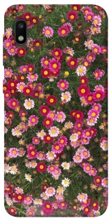 Чохол на Samsung Galaxy A10 (A105F) Flowers v8 фото 1 з 1