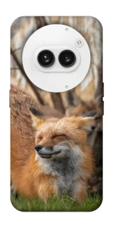 Чехол на Nothing Phone (2a) Лиса фото 1 из 1