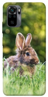 Чехол на Xiaomi Poco M5s Кролики фото 1 из 1