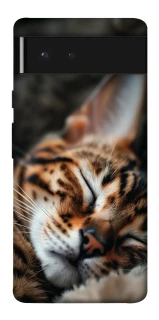 Чохол на Google Pixel 6 Cat paws фото 1 з 1