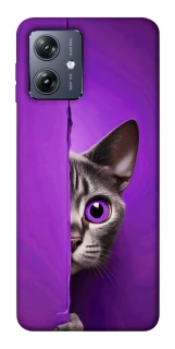 Чохол на Motorola Moto G54 Кіт-підглядач фото 1 Чохол на Motorola Moto G54 Кіт-підглядач фото 1 з 1