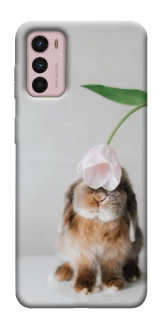 Чохол на Motorola Moto G42 Bunny фото 1 з 1