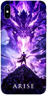 Чохол на Apple iPhone X (5.8") Solo Leaving фото 1 з 1