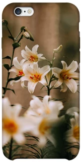Чохол на Apple iPhone 6/6s (4.7") Лілії фото 1 з 1