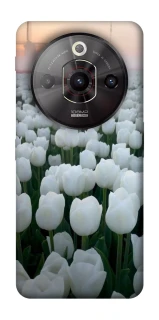 Чохол на ZTE Nubia Focus Pro Flowers v1 фото 1 з 1