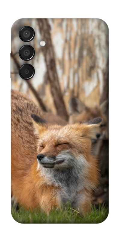 Чехол на Samsung Galaxy M15 5G Лиса фото 1 из 1