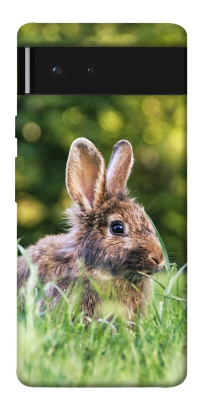 Чохол на Google Pixel 6 Кролики фото 1 з 1