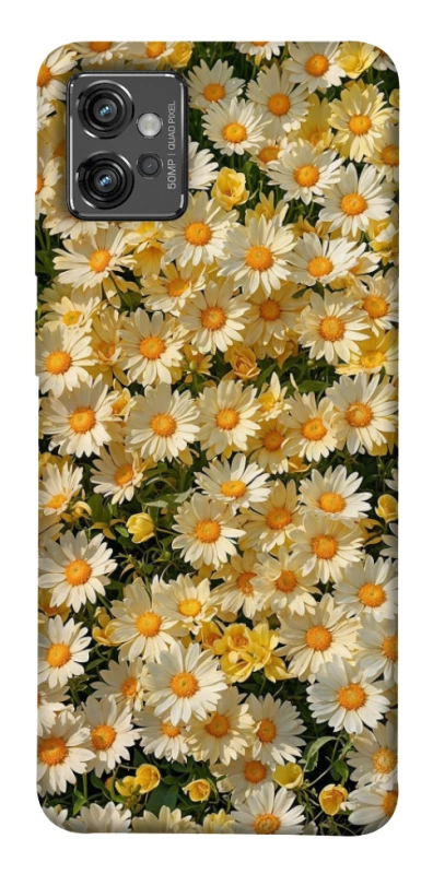Чохол на Motorola Moto G32 Camomile фото 1 з 1