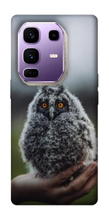 Чехол на Infinix Note 50 Pro+ Совёнок фото 1 из 1