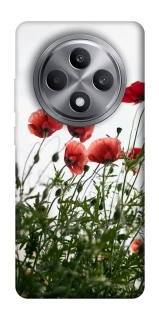 Чехол на Oppo Reno 12 F 4G Поле маков фото 1 из 1