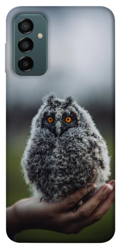 Чохол на Samsung Galaxy M23 5G Совеня фото 1 з 1