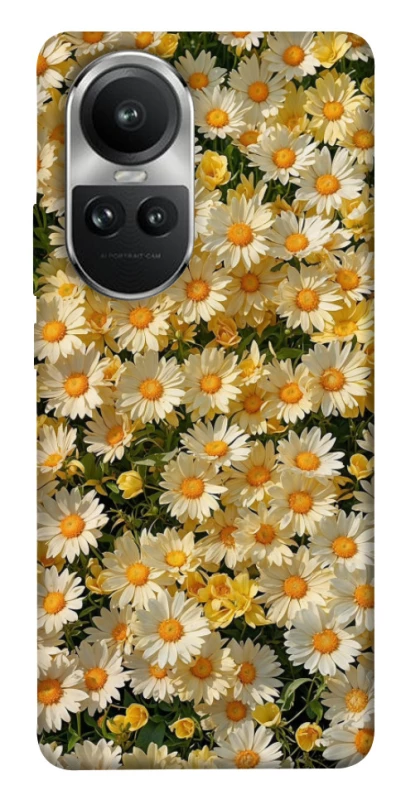 Чехол на Oppo Reno 10 Camomile фото 1 из 1