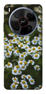 Чехол на ZTE Blade V70 Max Ромашки v13 фото 1 из 1