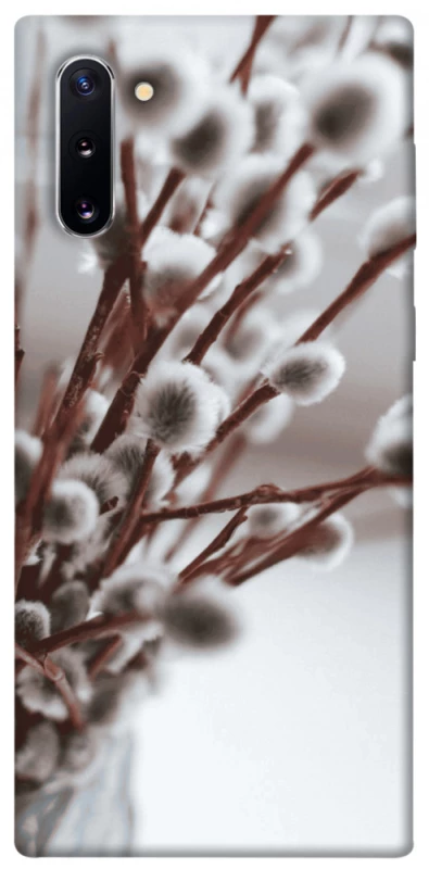 Чохол на Samsung Galaxy Note 10 Magic фото 1 з 1