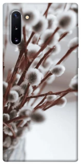 Чохол на Samsung Galaxy Note 10 Magic фото 1 з 1