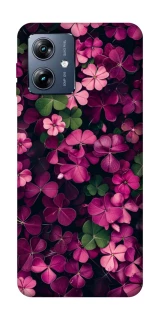 Чехол на Motorola Moto G54 Power Flowers v7 фото 1 из 1