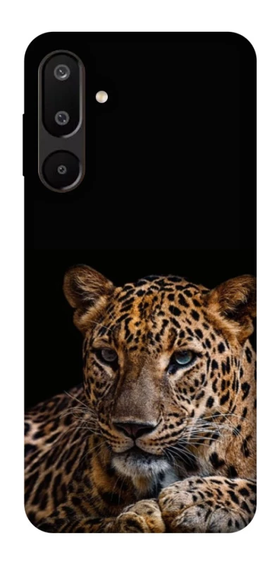 Чохол на Samsung Galaxy M16 5G Leopard v4 фото 1 з 1
