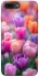 Чохол на Apple iPhone 7 plus / 8 plus Тюльпанове поле фото 1 з 1