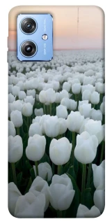 Чохол на Motorola Moto G84 Flowers v1 фото 1 з 1