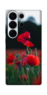 Чохол на Samsung Galaxy S26 Мак фото 1 з 1