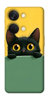 Чехол на OnePlus Nord 3 Black cat v2 фото 1 из 1