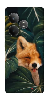 Чехол на Realme GT Neo 6 Fox фото 1 из 1