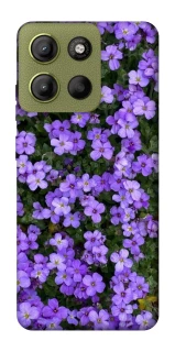 Чохол на Motorola Moto G15 4G Flowers v17 фото 1 з 1