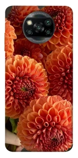 Чохол на Xiaomi Poco X3 NFC / Poco X3 Pro Flower1 фото 1 з 1