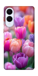 Чохол на Samsung Galaxy S25 Edge Тюльпанове поле фото 1 з 1