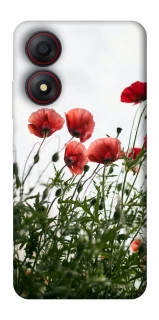 Чехол на ZTE Blade A34 4G Поле маков фото 1 из 1