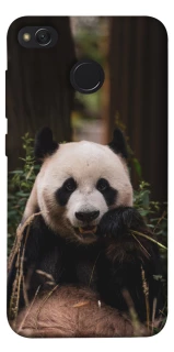 Чехол на Xiaomi Redmi 4X Панда фото 1 из 1