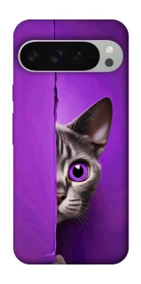 Чохол на Google Pixel 9 Pro XL Кіт-підглядач фото 1 з 1