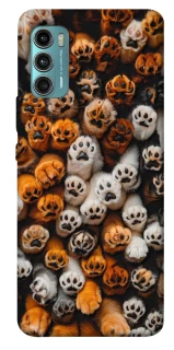 Чохол на Motorola Moto G60 Сat paws фото 1 з 1