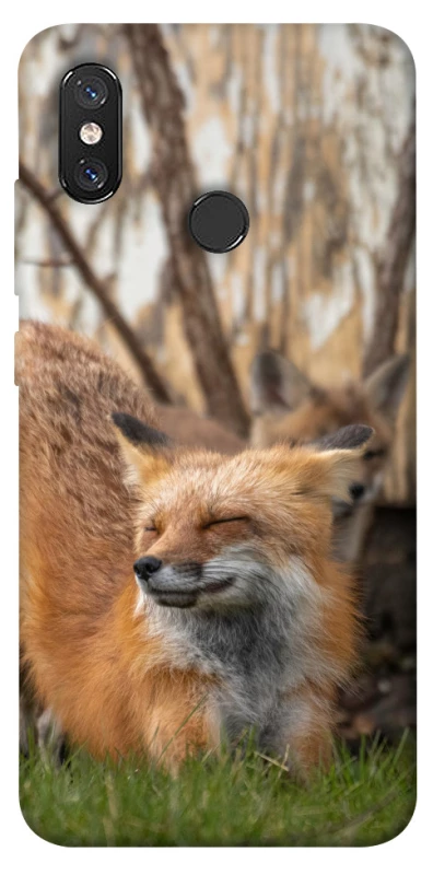 Чохол на Xiaomi Mi 8 Лисиця фото 1 з 1