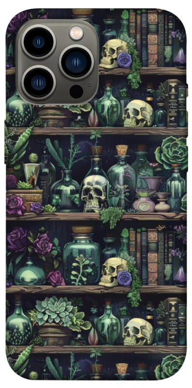 Чохол на Apple iPhone 13 Pro Max (6.7") Bookshelf ver.1 фото 1 з 1