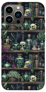 Чохол на Apple iPhone 13 Pro Max (6.7") Bookshelf ver.1 фото 1 з 1