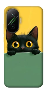 Чехол на Xiaomi Poco F7 Black cat v2 фото 1 из 1