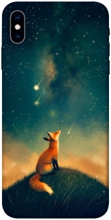 Чехол на Apple iPhone X (5.8") Sky fox фото 1 из 1