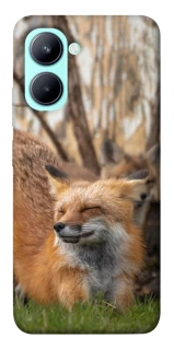 Чохол на Realme C33 Лисиця фото 1 з 1