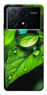 Чехол на Xiaomi Poco X6 Flowers v16 фото 1 из 1